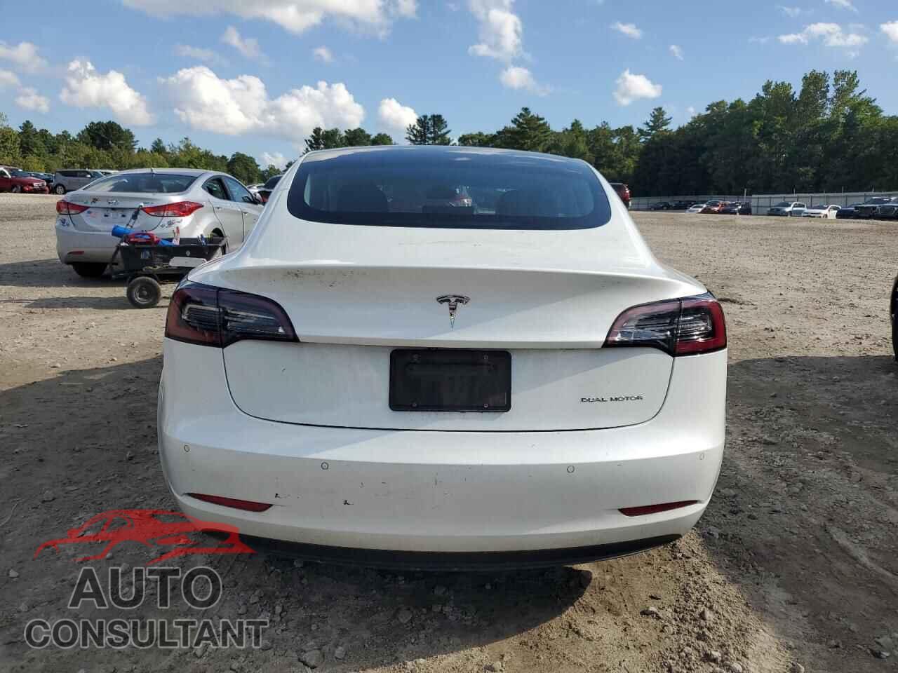 TESLA MODEL 3 2019 - 5YJ3E1EB8KF511894