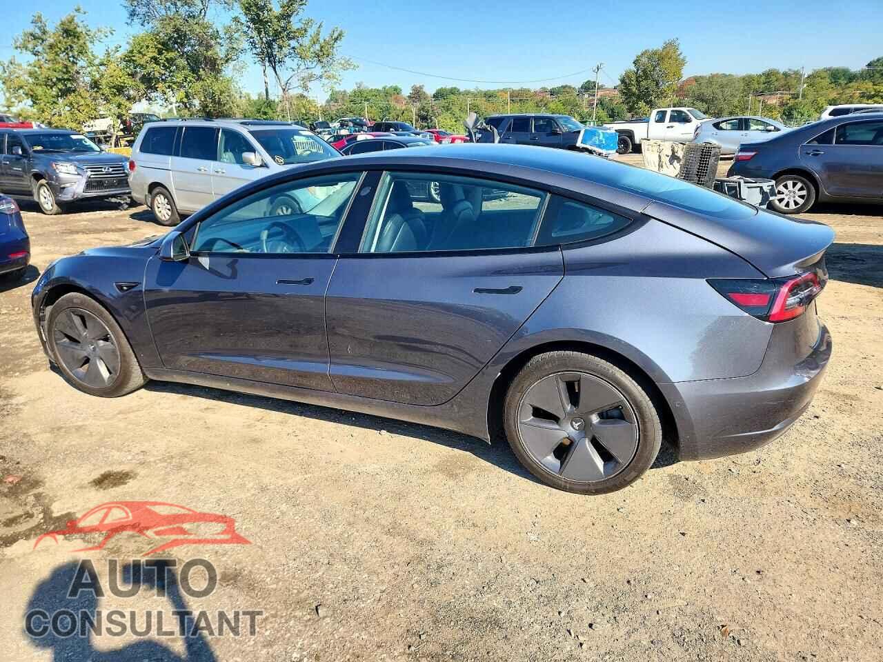 TESLA MODEL 3 2021 - 5YJ3E1EA2MF908138