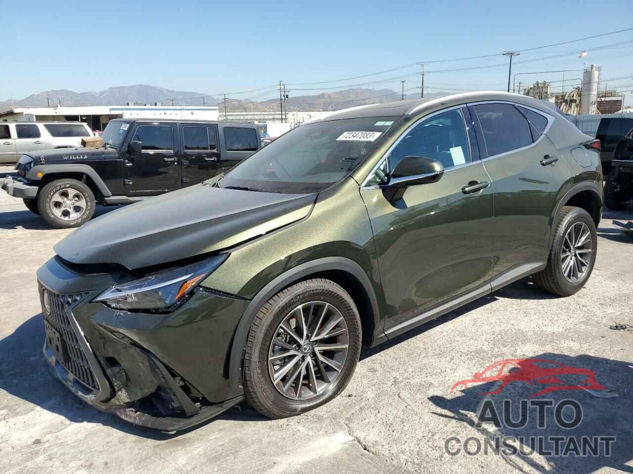 LEXUS NX 350 BAS 2024 - 2T2AGCEZXRC043803