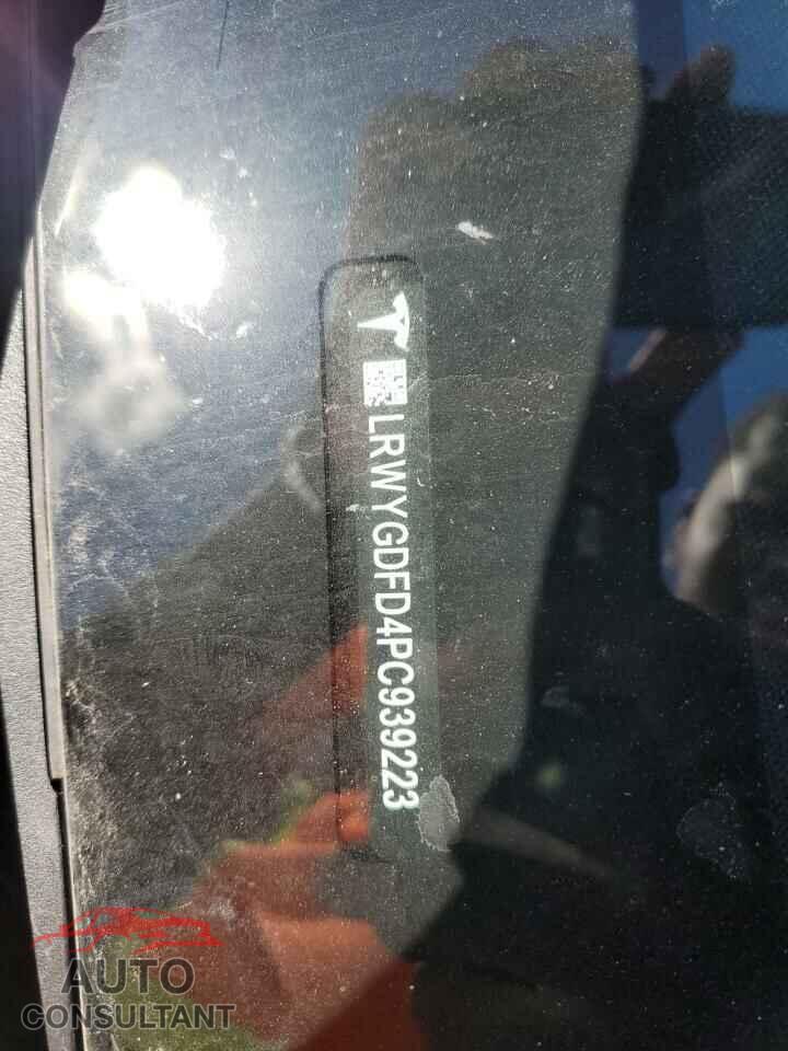 TESLA MODEL Y 2023 - LRWYGDFD4PC939223
