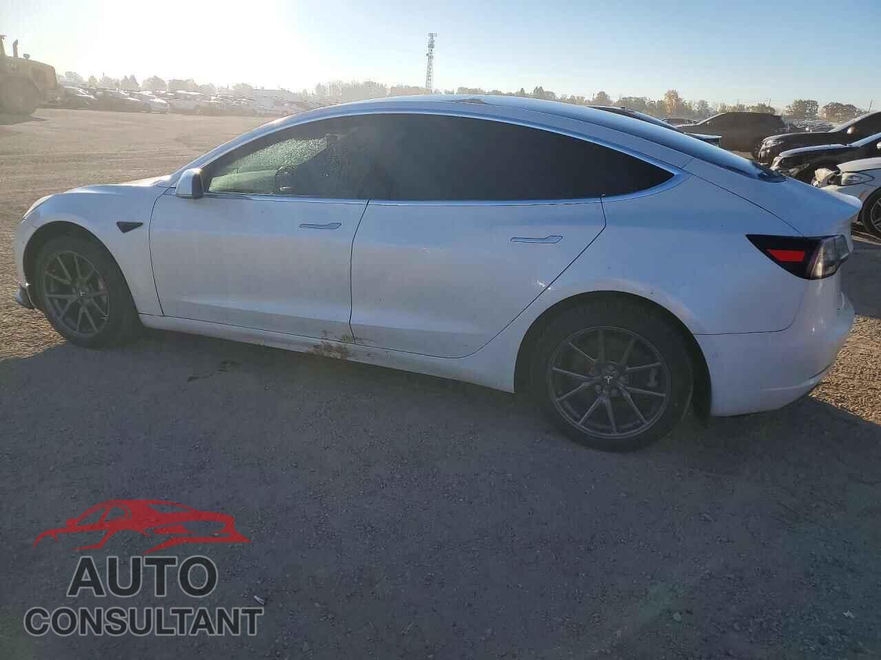 TESLA MODEL 3 2020 - 5YJ3E1EA1LF626099