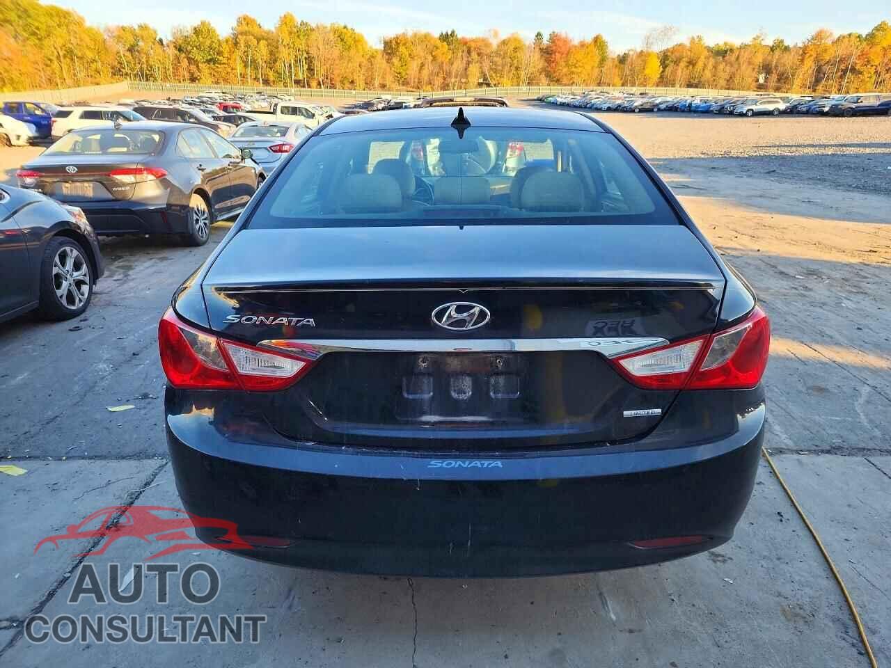 HYUNDAI SONATA 2013 - 5NPEC4AC1DH511559
