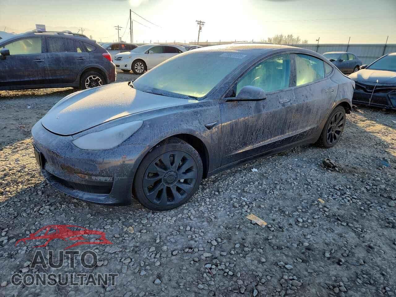 TESLA MODEL 3 2022 - 5YJ3E1EA0NF186668