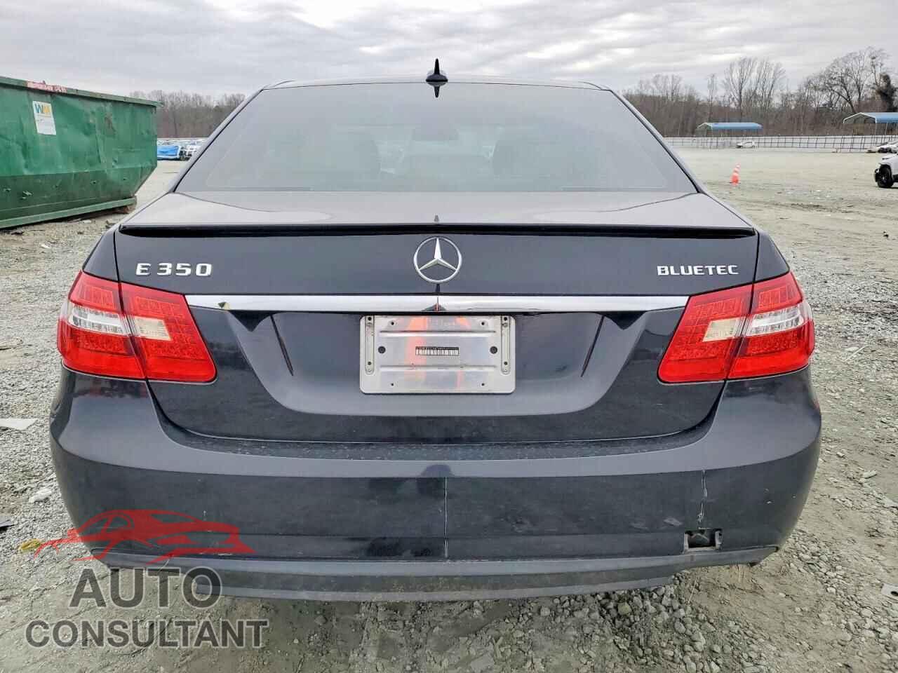 MERCEDES-BENZ E-CLASS 2013 - WDDHF2EB2DA674499