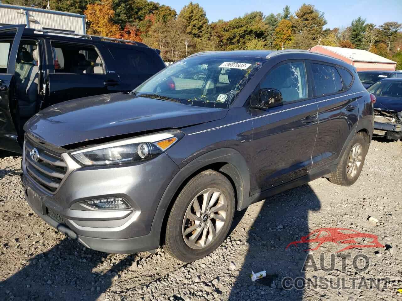 HYUNDAI TUCSON 2016 - KM8J33A43GU093819