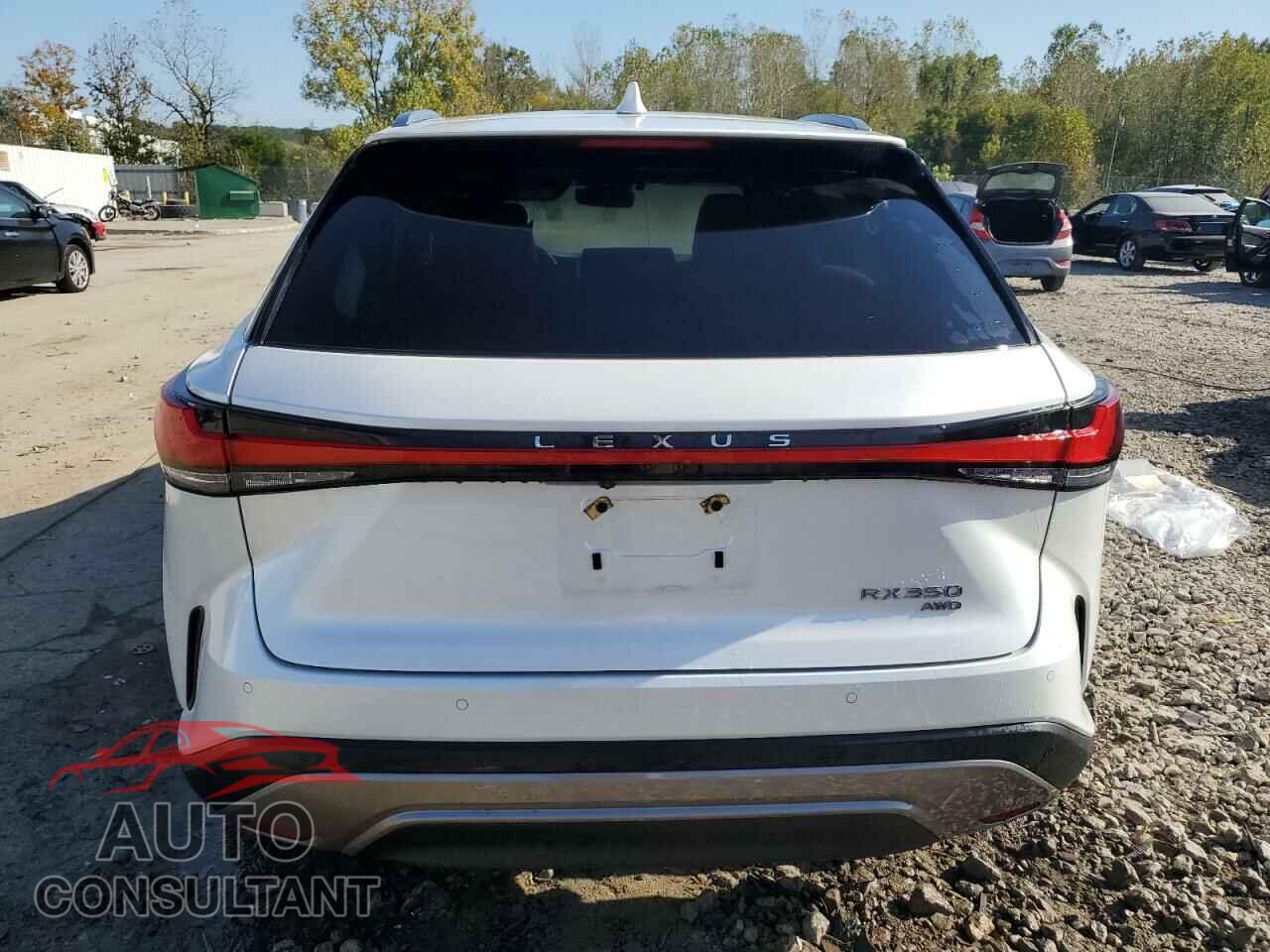 LEXUS RX350 2023 - 2T2BAMCA3PC022040