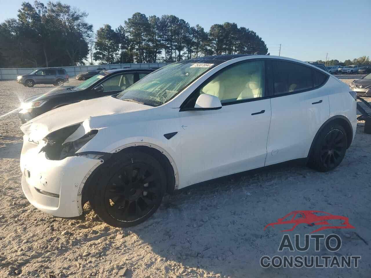 TESLA MODEL Y 2022 - 7SAYGAEEXNF314033