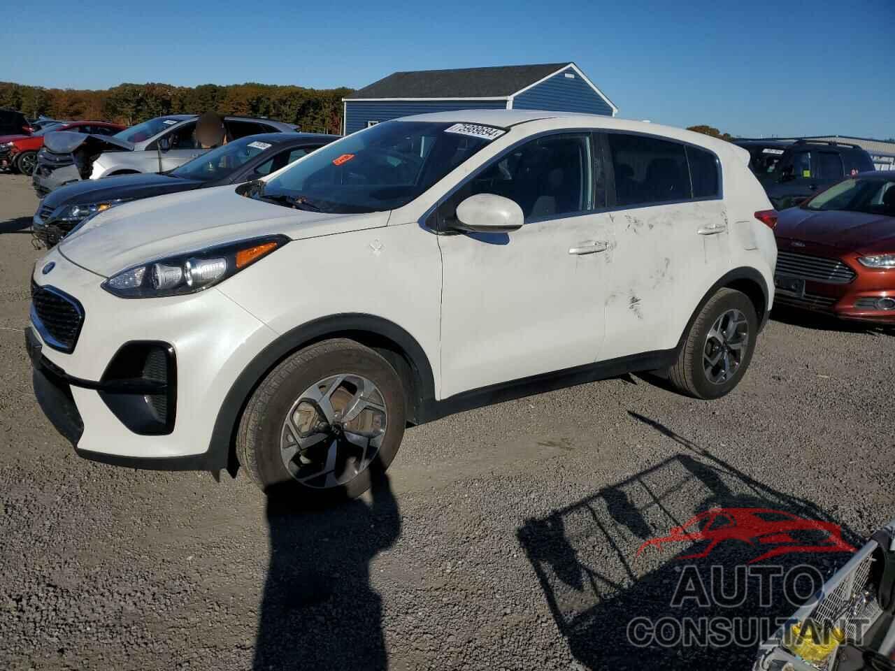 KIA SPORTAGE 2022 - KNDPM3AC7N7017339