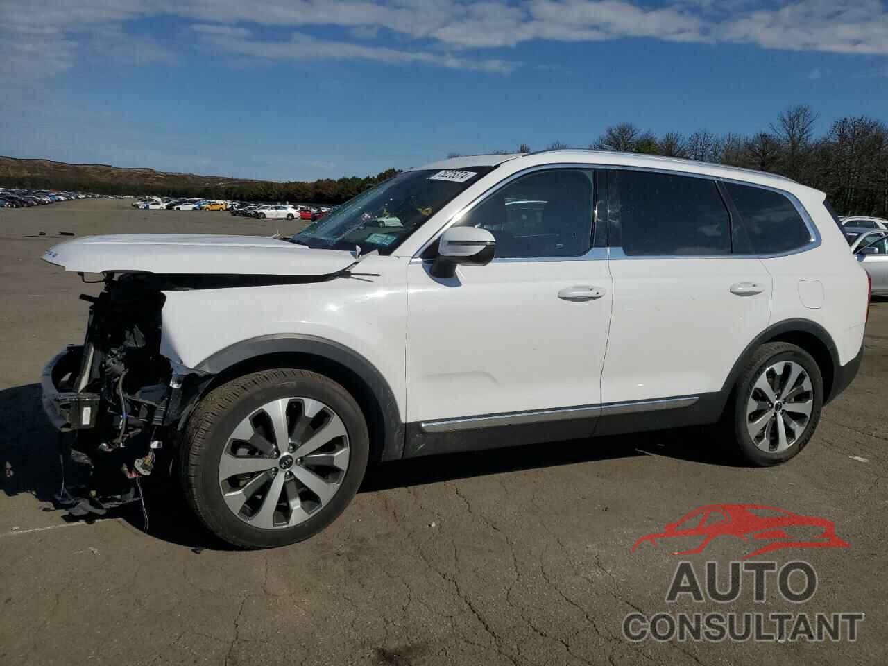 KIA TELLURIDE 2021 - 5XYP3DHC5MG118704