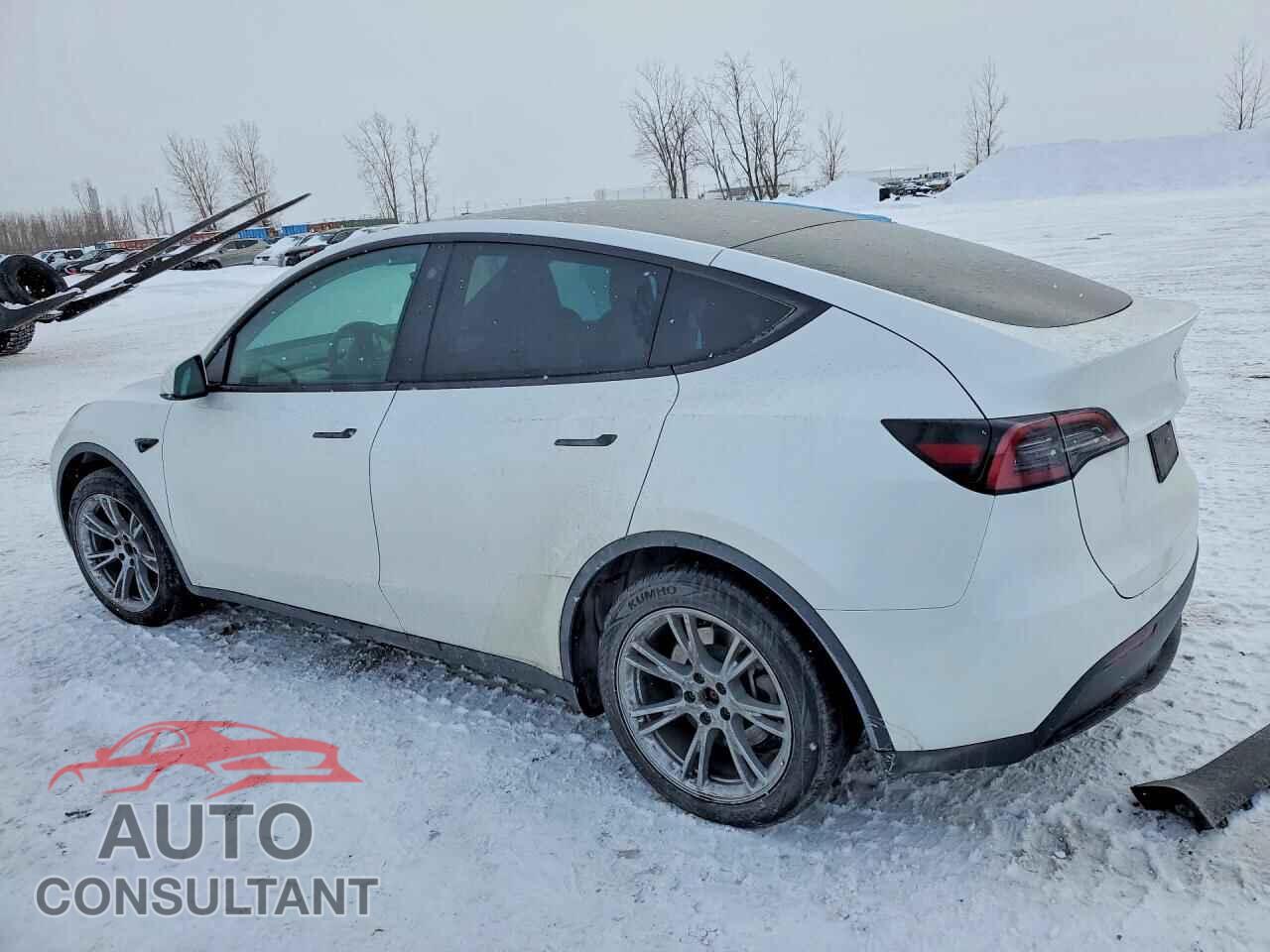 TESLA MODEL Y 2023 - LRWYGDFD5PC904870