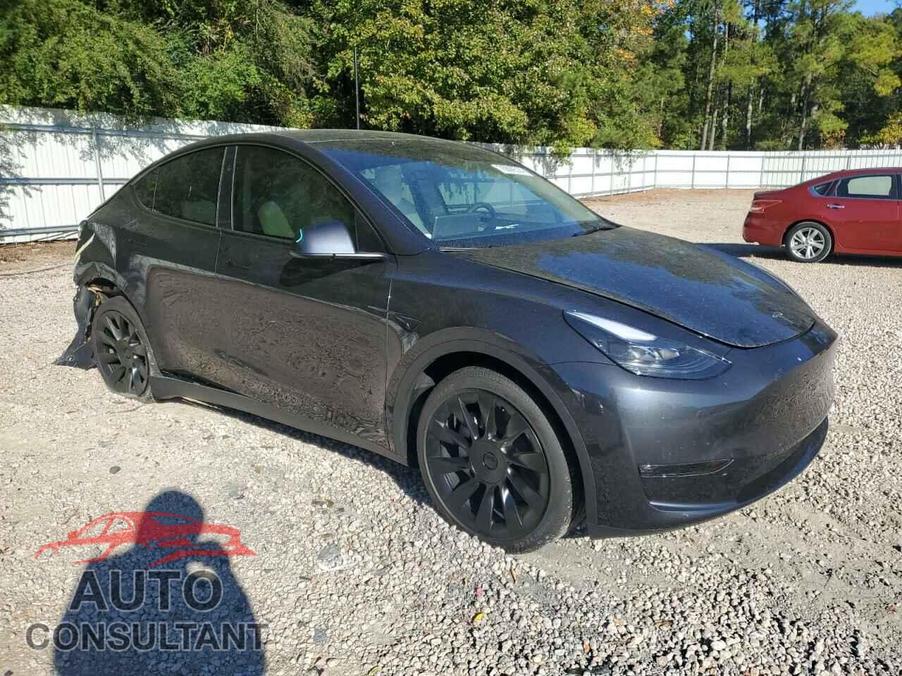 TESLA MODEL Y 2024 - 7SAYGAEE3RF117727