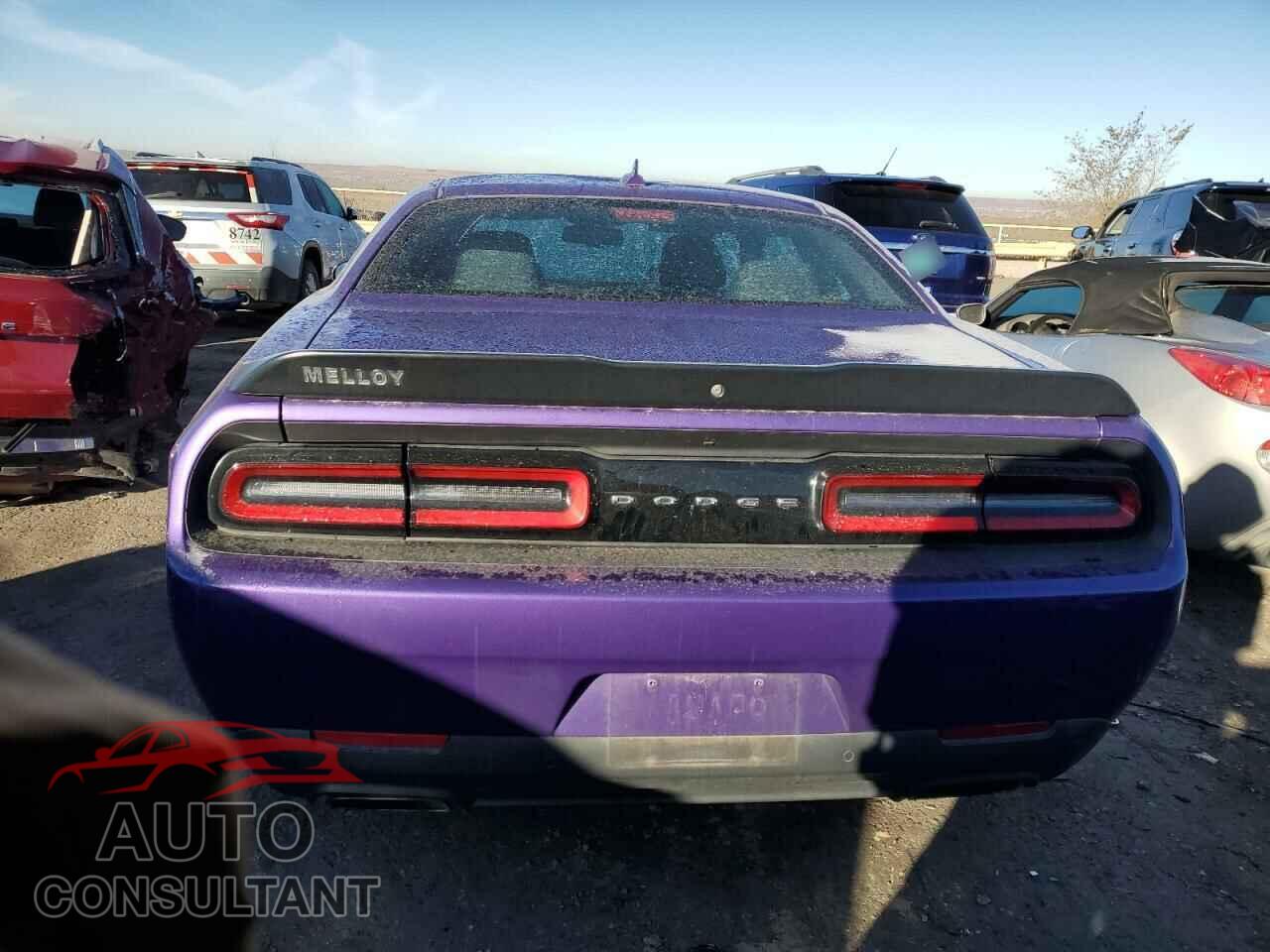DODGE CHALLENGER 2019 - 2C3CDZFJ6KH691463