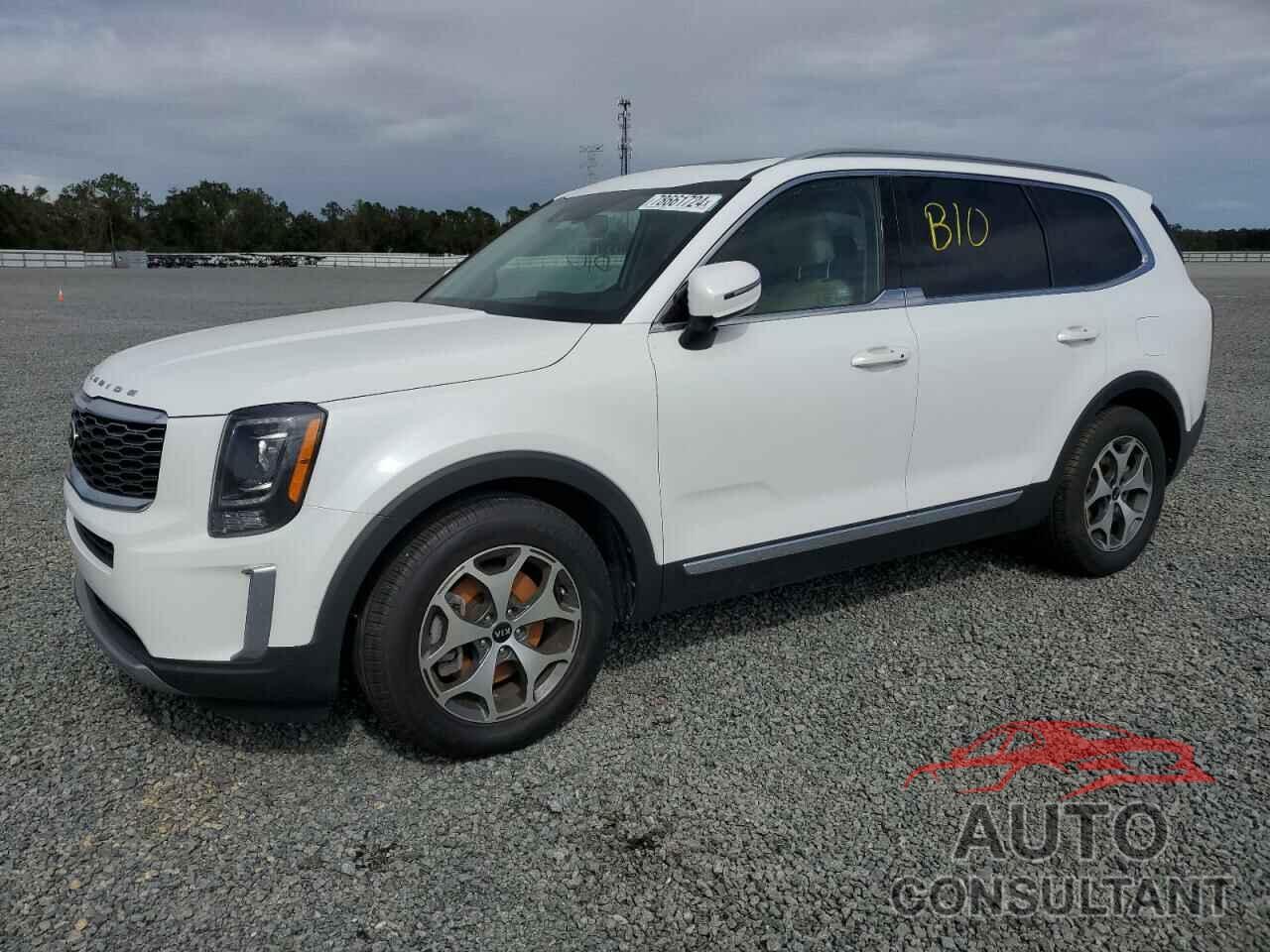 KIA TELLURIDE 2020 - 5XYP34HC2LG055530