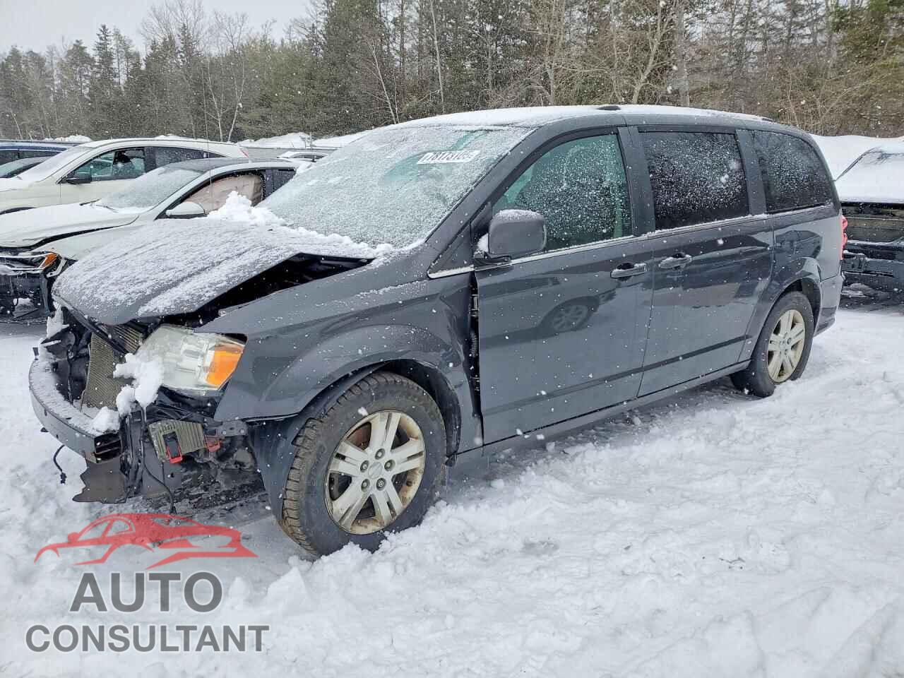 DODGE CARAVAN 2019 - 2C4RDGDG7KR779580