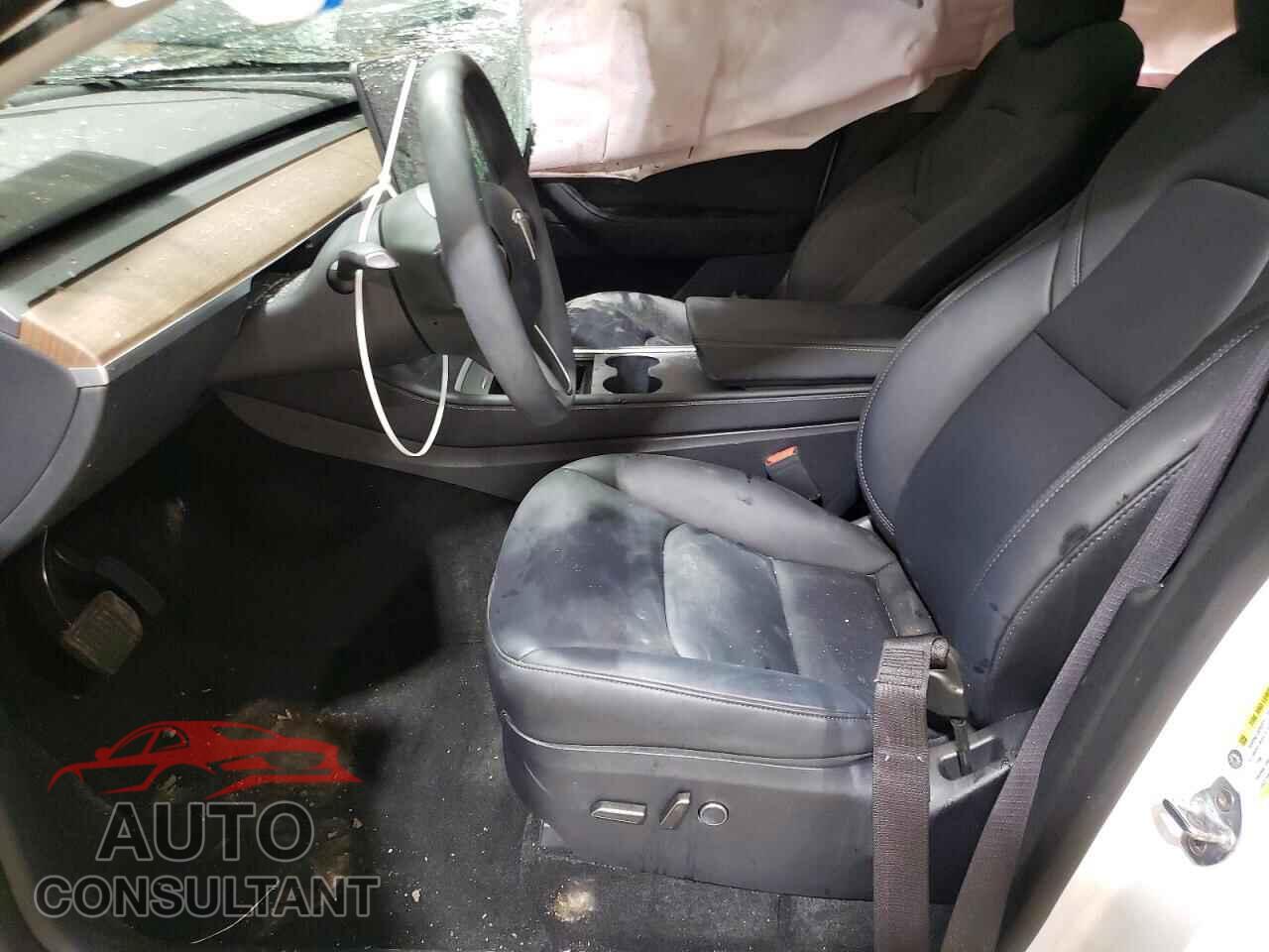 TESLA MODEL Y 2024 - 7SAYGAEE2RF158835