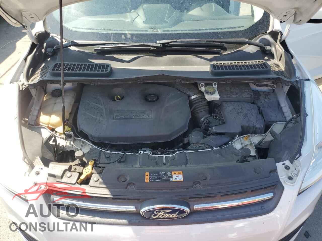 FORD ESCAPE 2014 - 1FMCU9G98EUB36463