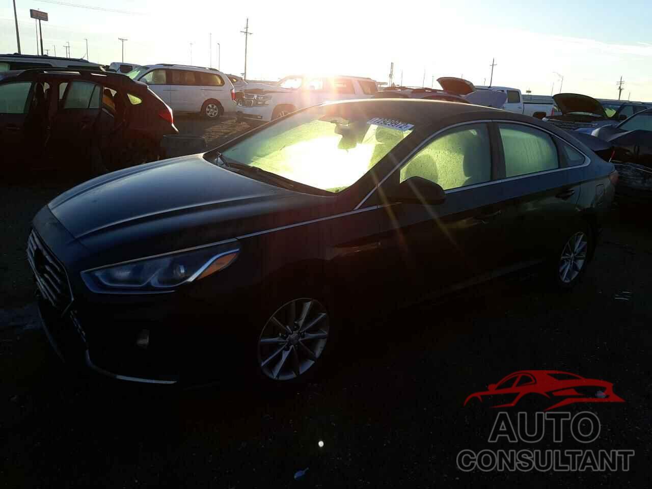 HYUNDAI SONATA 2018 - 5NPE24AF5JH646908