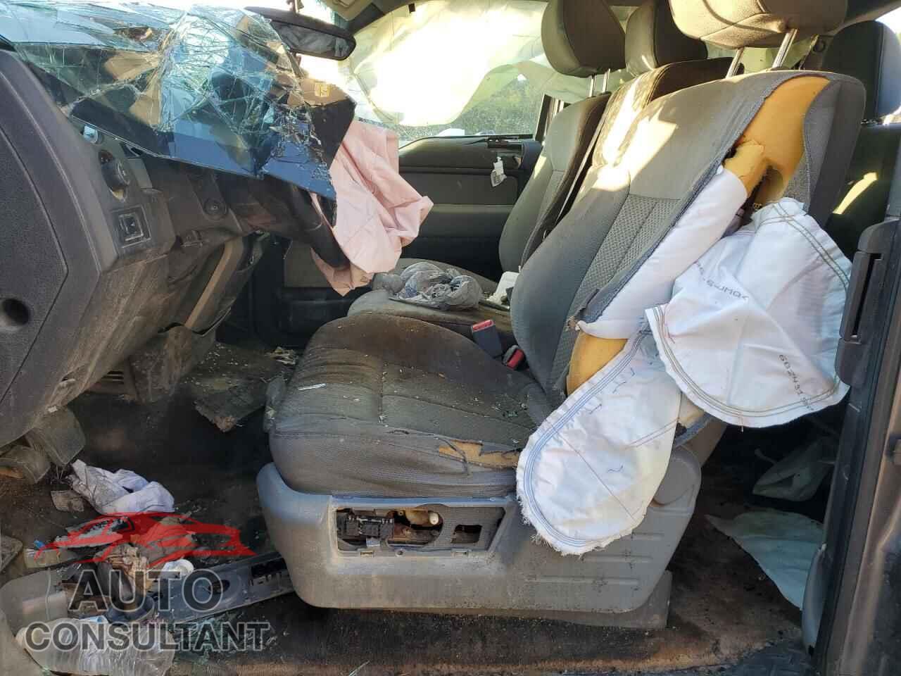 FORD F-150 2011 - 1FTFX1EF2BFB69087