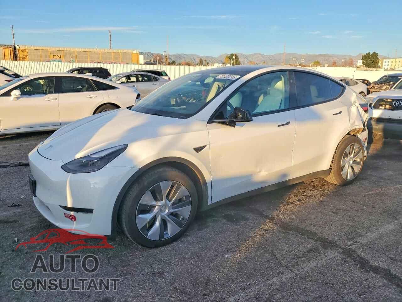 TESLA MODEL Y 2024 - 7SAYGDED2RF089153