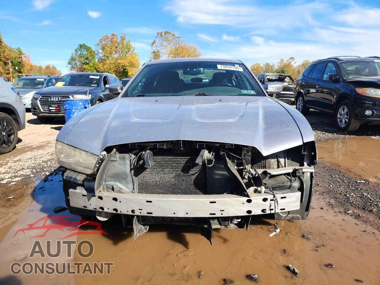 DODGE CHARGER 2014 - 2C3CDXCTXEH353577