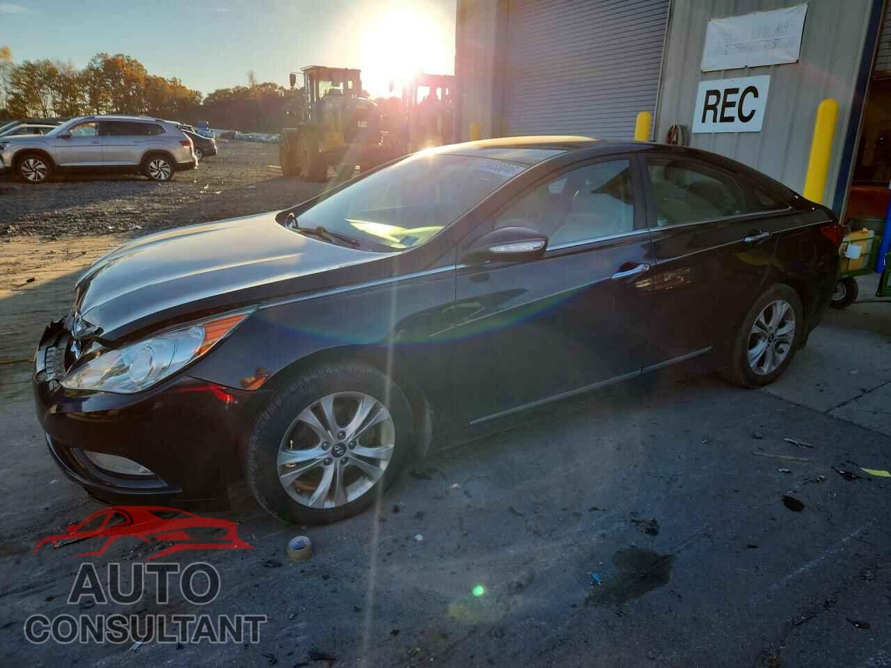 HYUNDAI SONATA 2013 - 5NPEC4AC1DH511559
