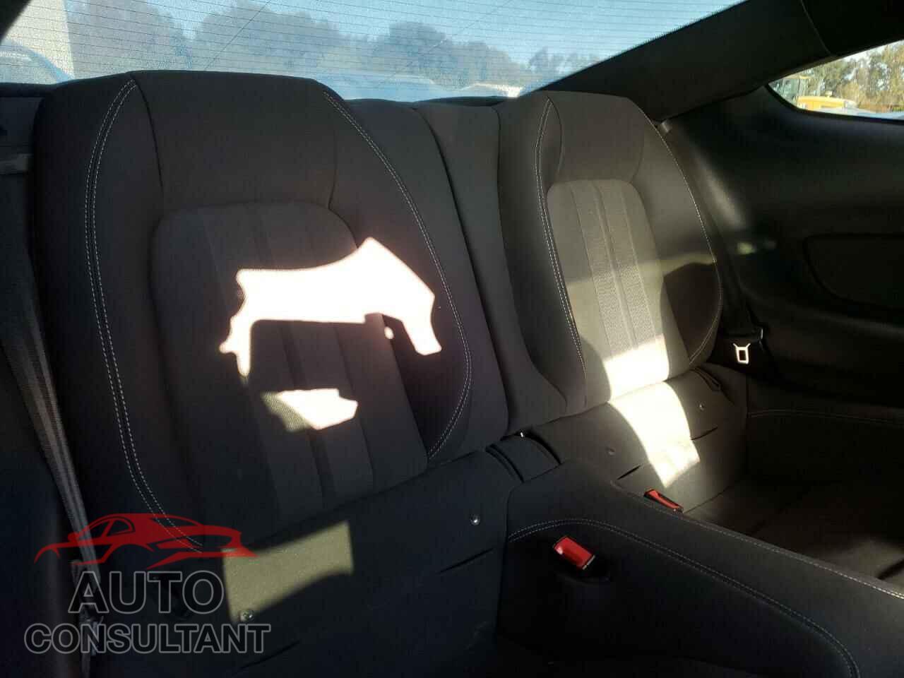 FORD MUSTANG 2019 - 1FA6P8CF7K5141454