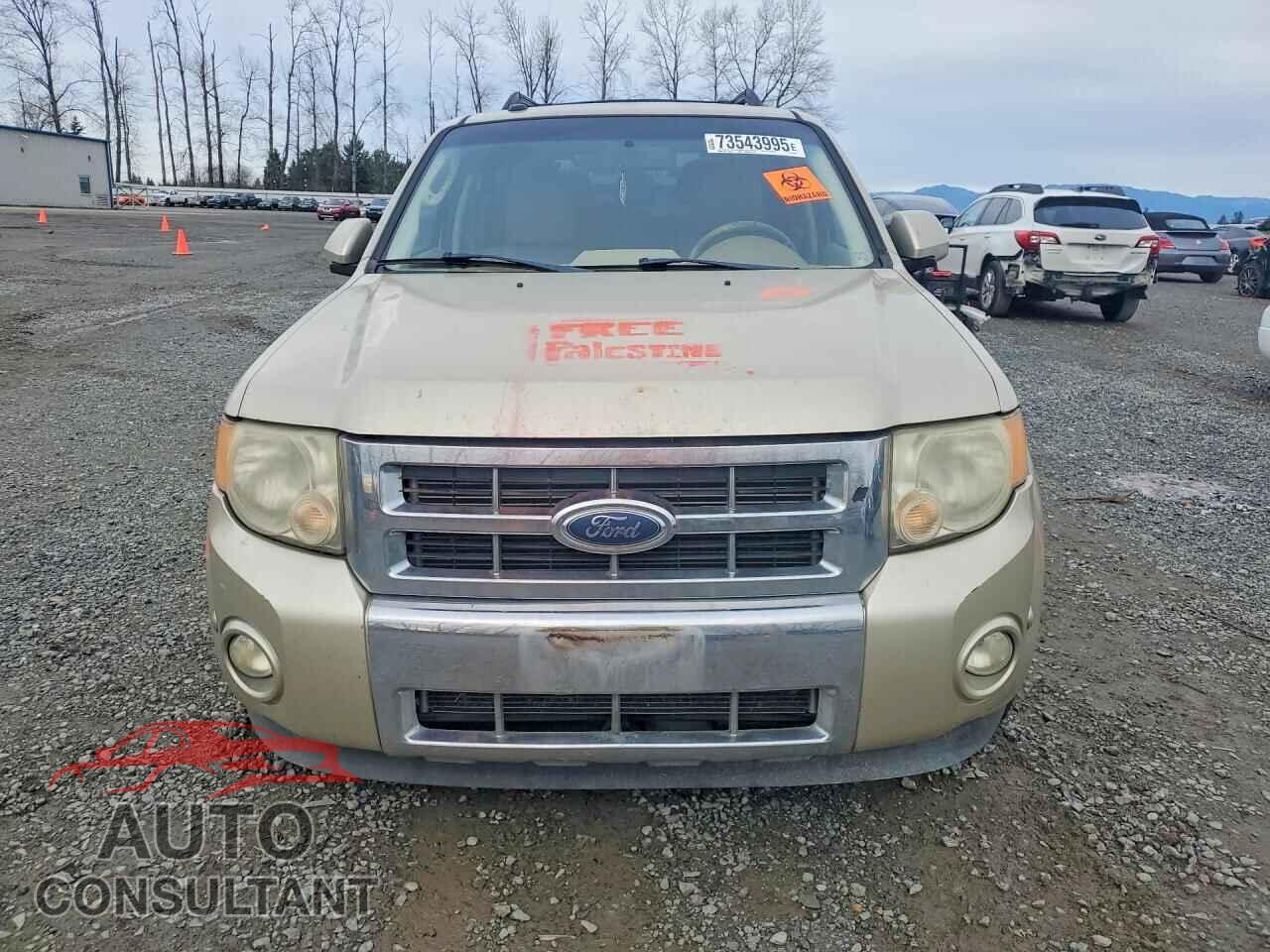 FORD ESCAPE 2010 - 1FMCU0EG2AKB92580