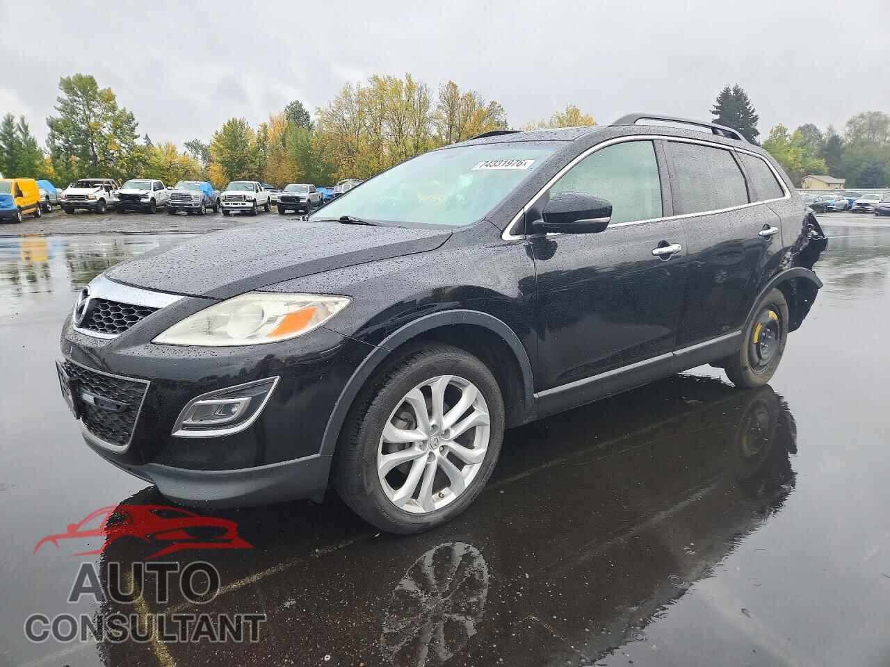 MAZDA CX-9 2011 - JM3TB2DV9B0317178