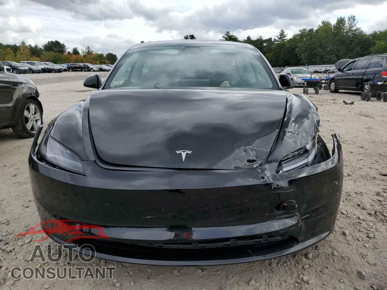 TESLA MODEL 3 2024 - 5YJ3E1EB6RF789106
