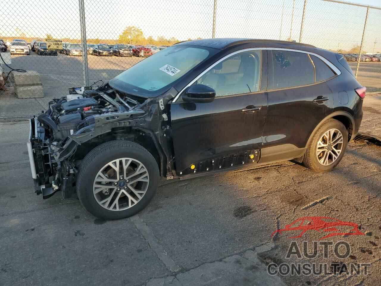 FORD ESCAPE 2020 - 1FMCU0H65LUB15776