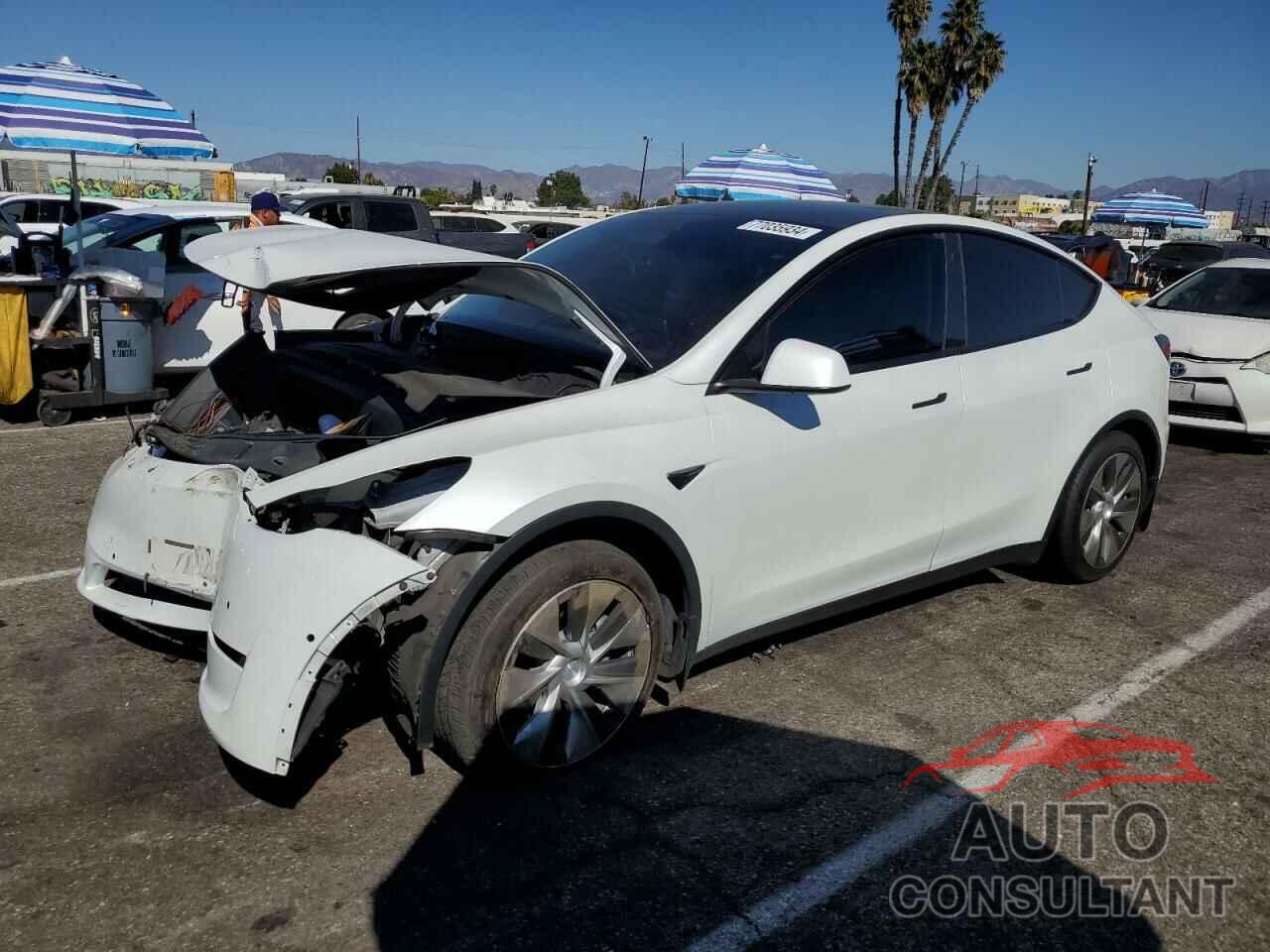 TESLA MODEL Y 2020 - 5YJYGDEE9LF031974