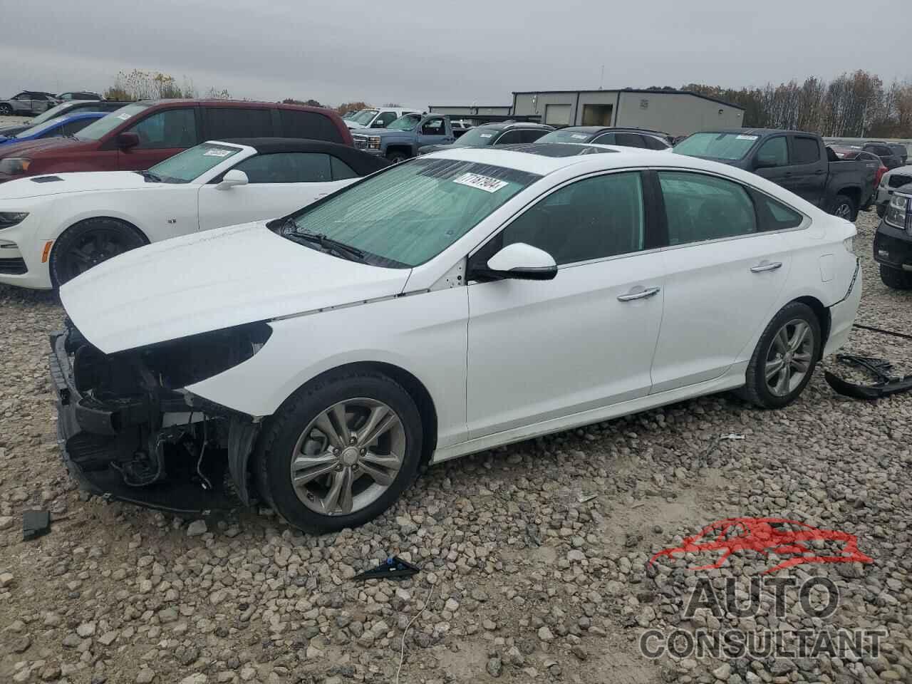 HYUNDAI SONATA 2018 - 5NPE34AF5JH649935