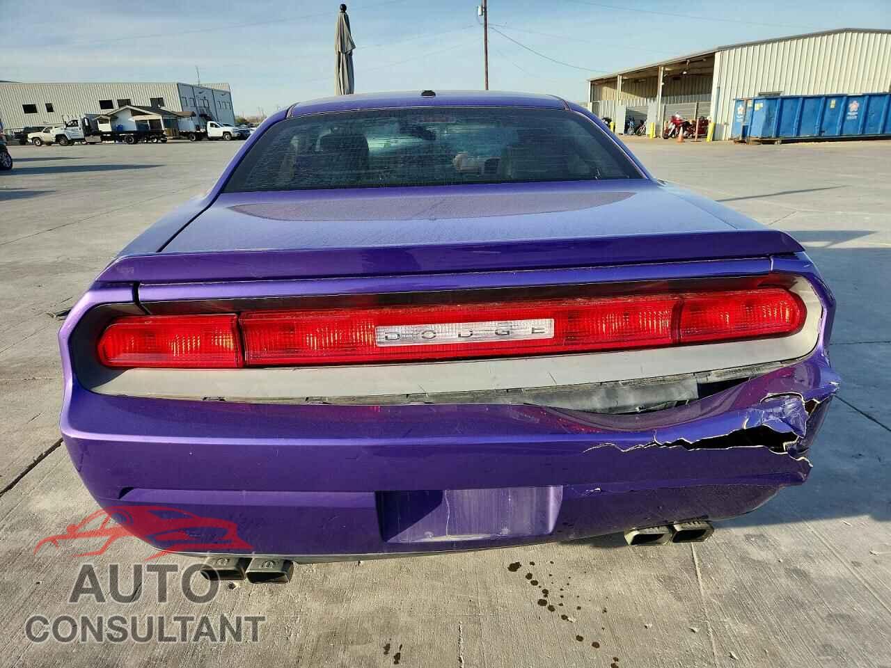 DODGE CHALLENGER 2010 - 2B3CJ5DT2AH190748