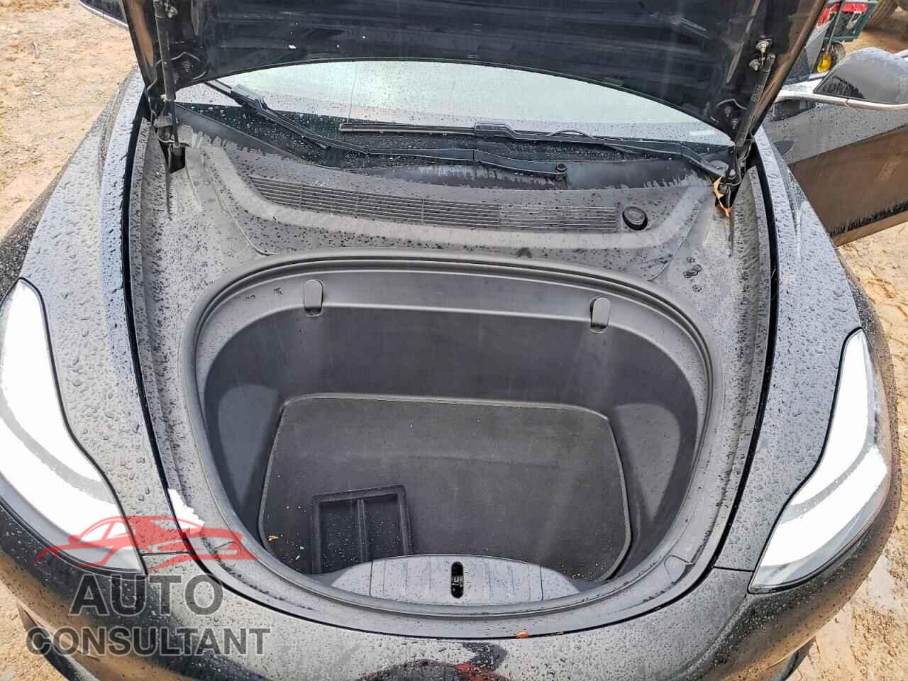 TESLA MODEL 3 2019 - 5YJ3E1EA2KF331446