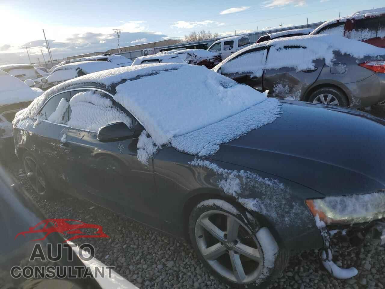 AUDI A5 2010 - WAULFAFR1AA045223