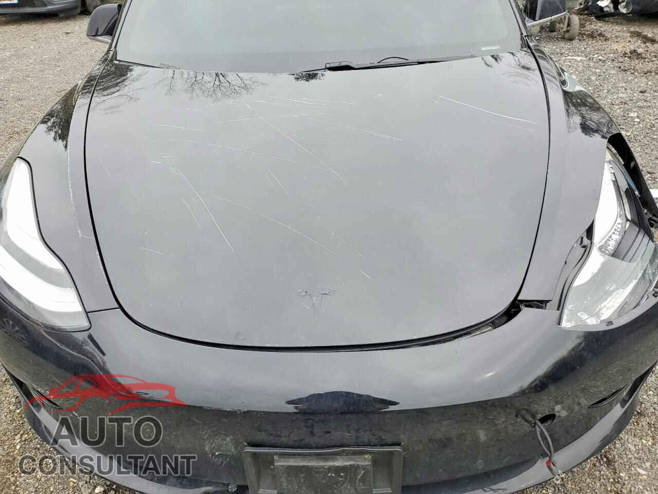 TESLA MODEL 3 2019 - 5YJ3E1EA3KF398444