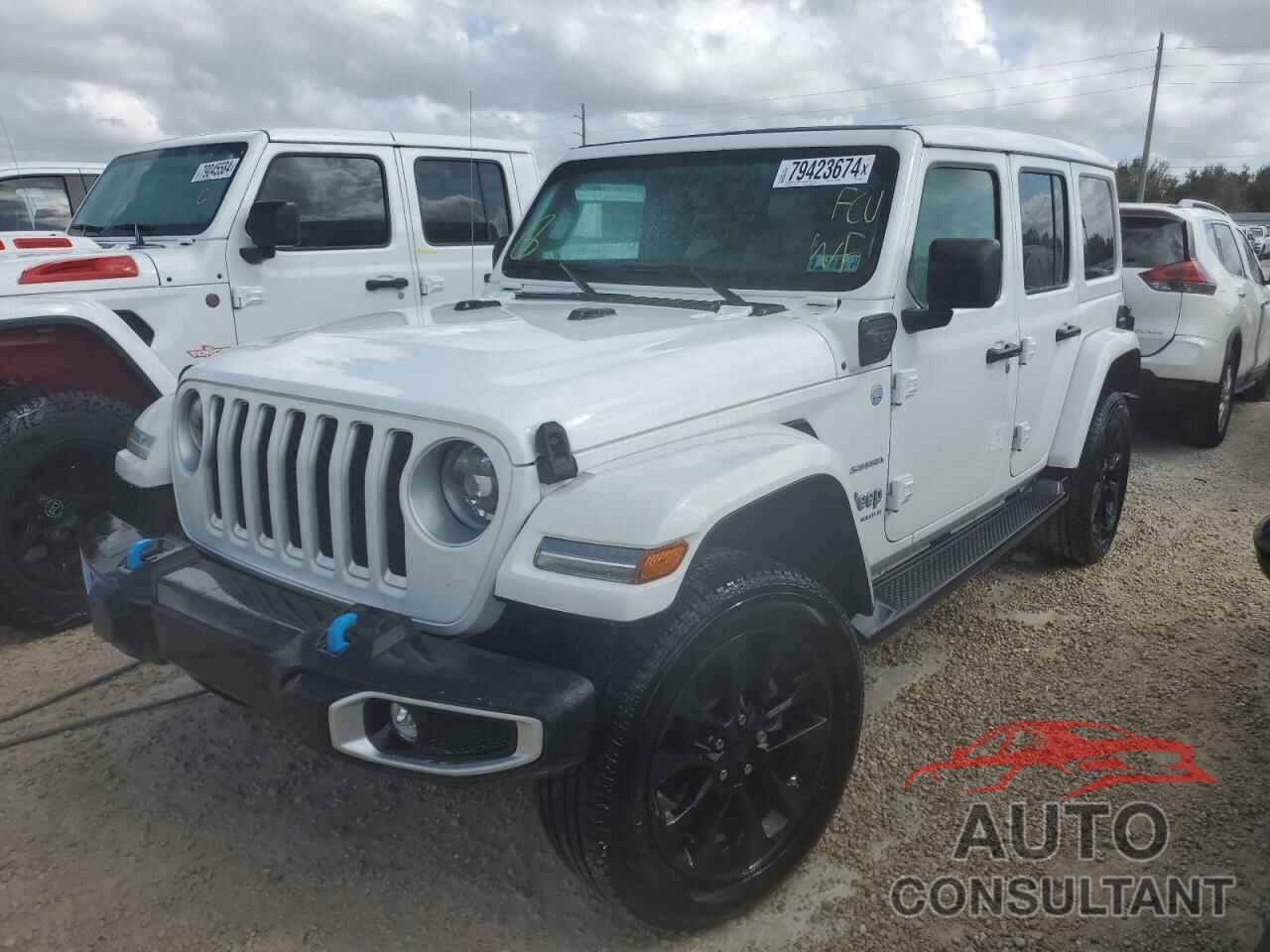 JEEP WRANGLER 2023 - 1C4JJXP69PW554410