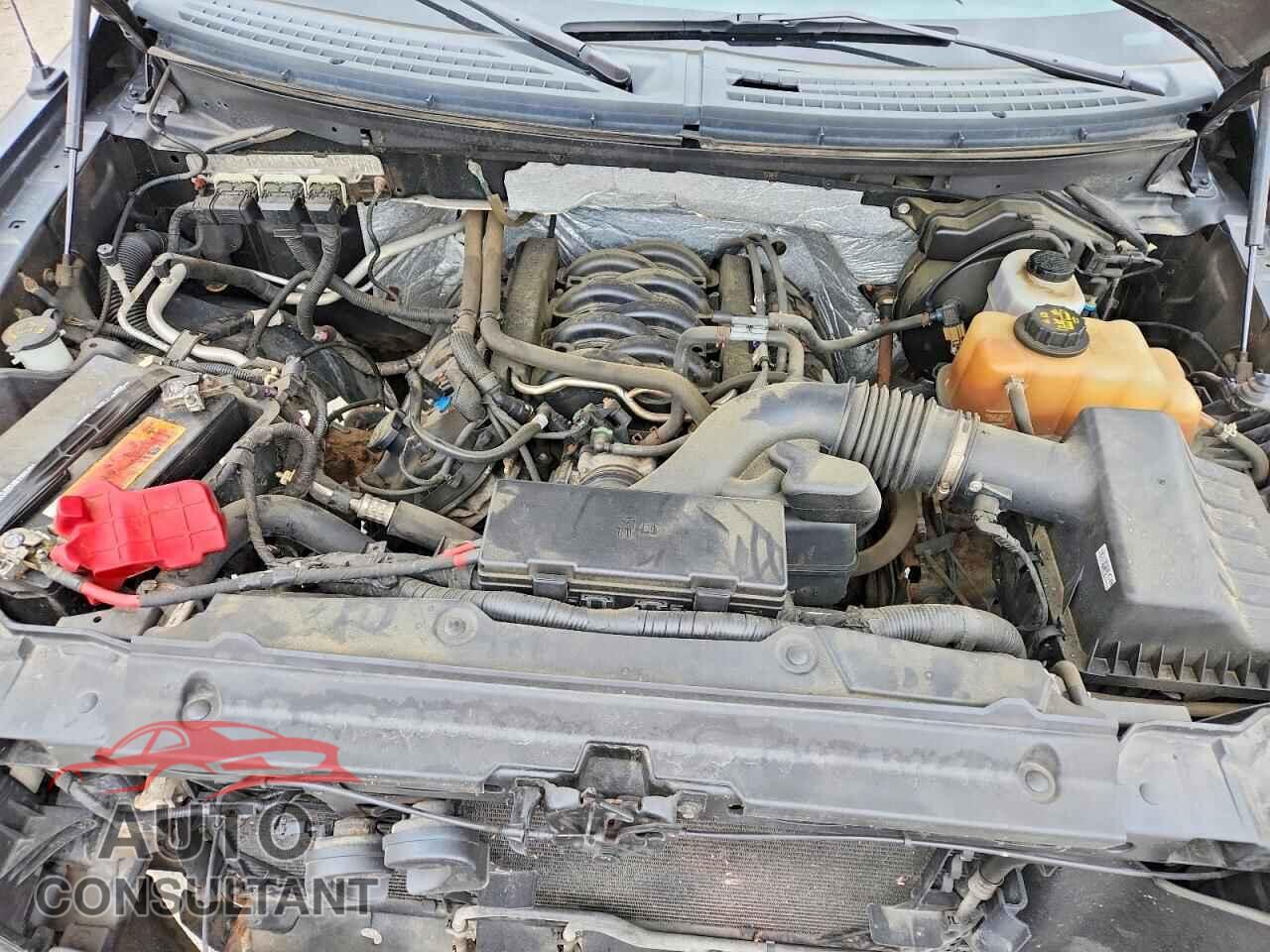 FORD F150 2013 - 1FTFW1EF2DFA93456