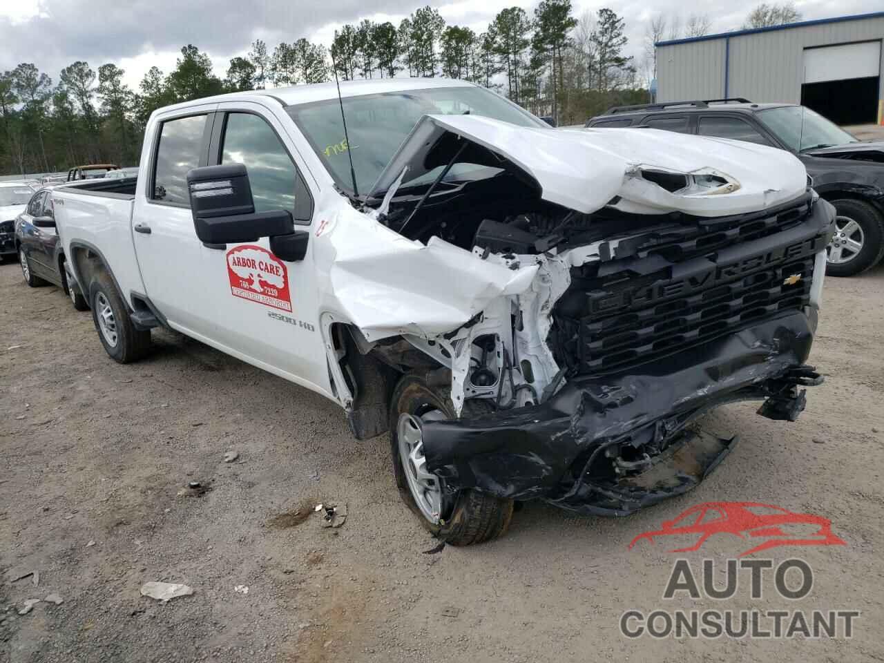 CHEVROLET SILVERADO 2020 - 1GC4YLE79LF115084