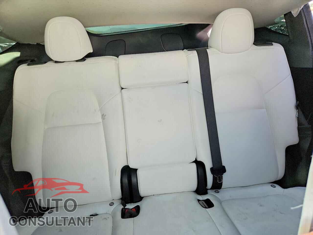 TESLA MODEL Y 2024 - 7SAYGDED4RF105675