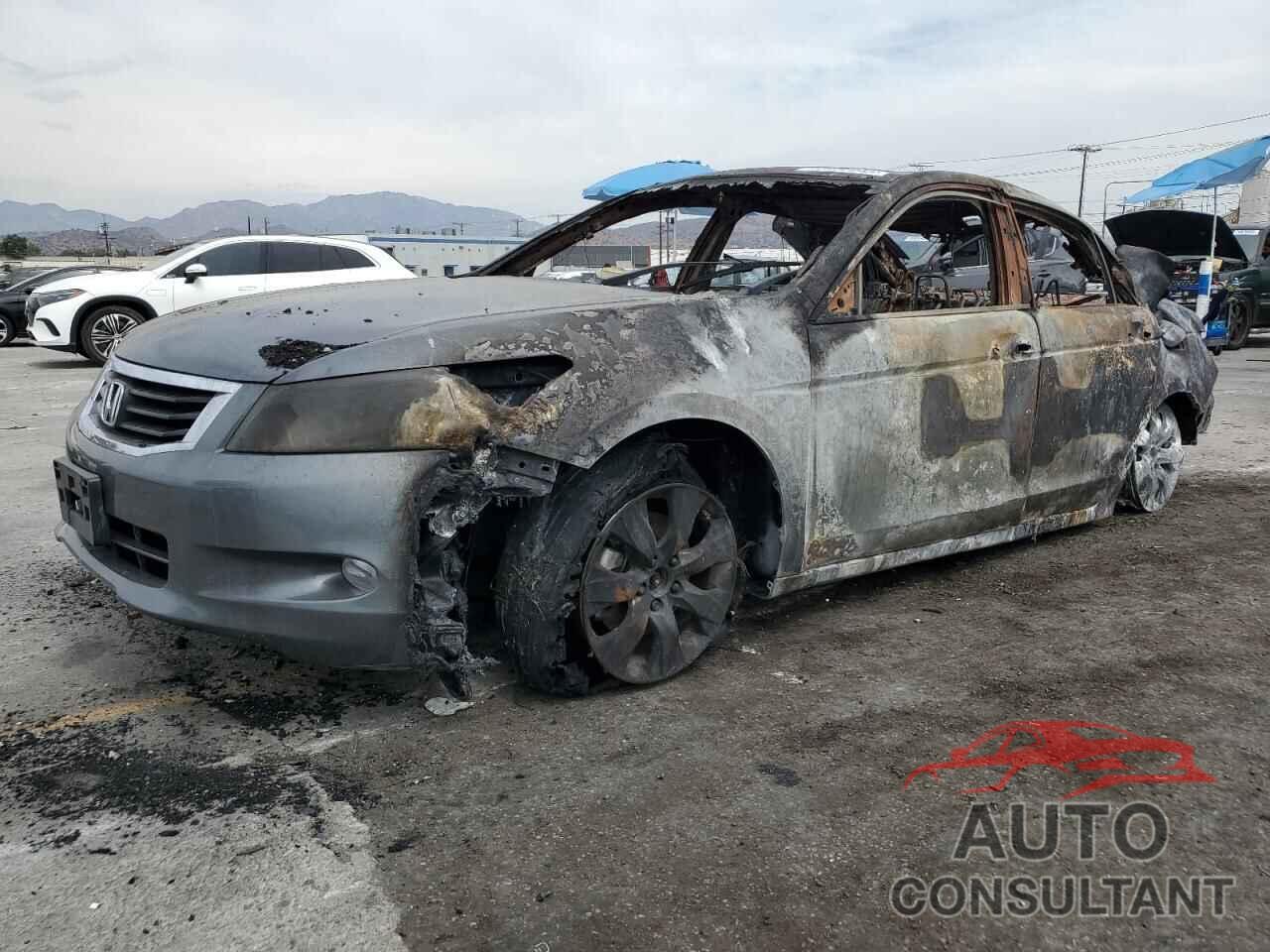 HONDA ACCORD 2009 - 5KBCP36899B502738