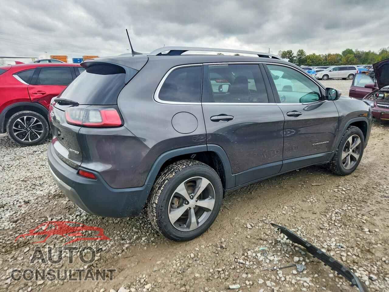 JEEP CHEROKEE 2019 - 1C4PJMDN0KD214927