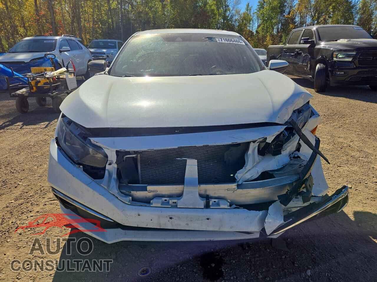 HONDA CIVIC 2019 - 2HGFC2F7XKH035940