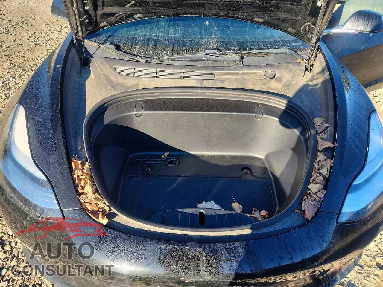 TESLA MODEL 3 2019 - 5YJ3E1EA3KF397777