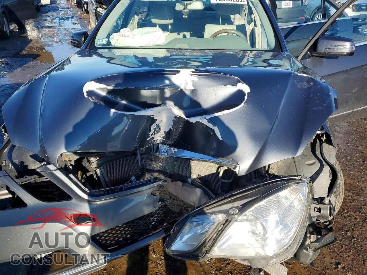 MERCEDES-BENZ E-CLASS 2012 - WDDHF8JBXCA575615