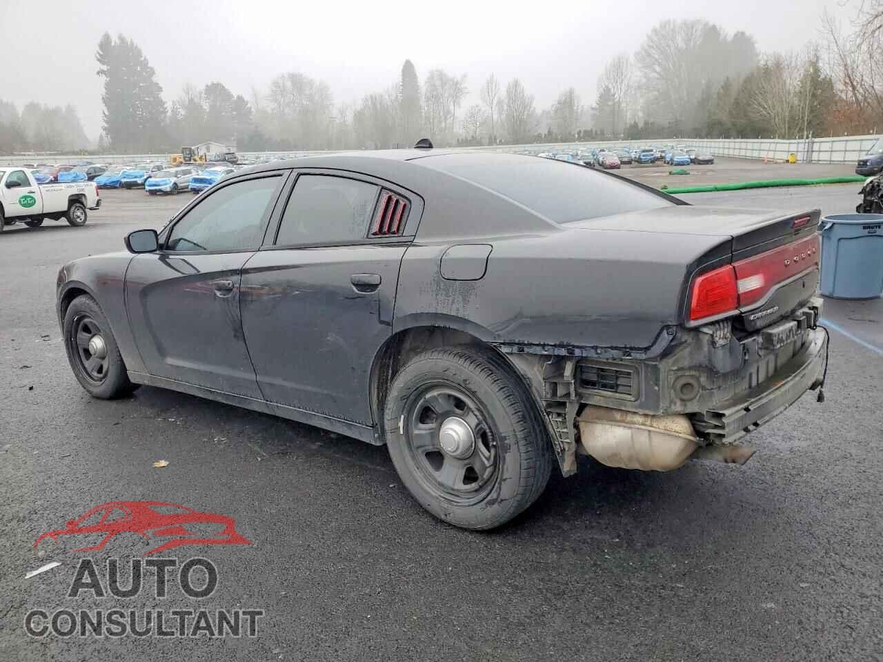 DODGE CHARGER 2014 - 2C3CDXAT0EH133061