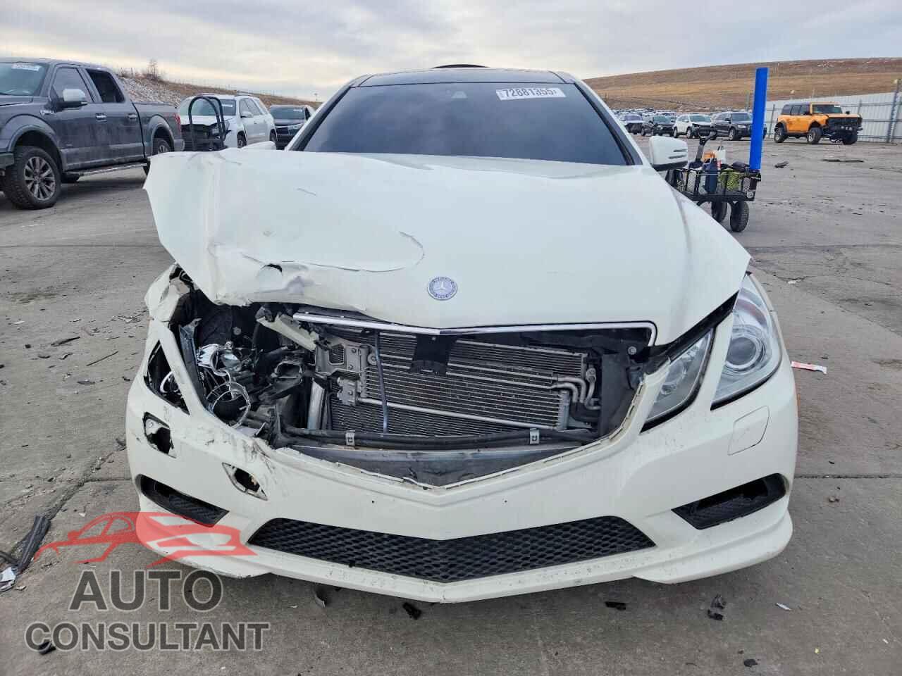 MERCEDES-BENZ E-CLASS 2011 - WDDKJ7CBXBF068713