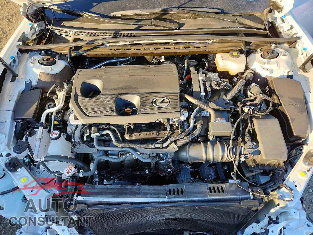 LEXUS ES300 2025 - 58ADA1C14SU067984