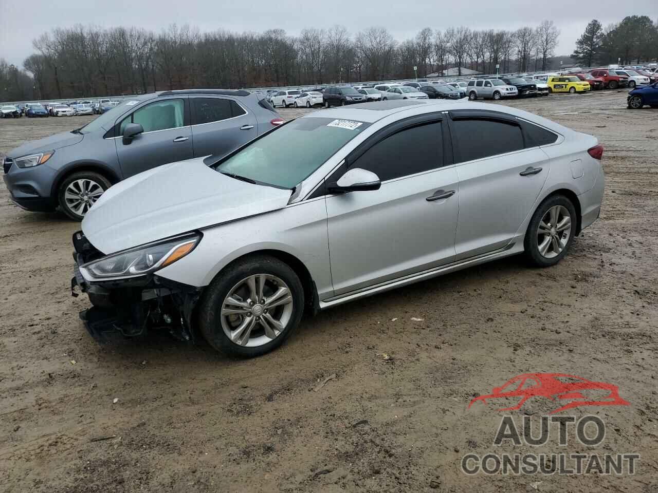 HYUNDAI SONATA 2019 - 5NPE34AF4KH738879
