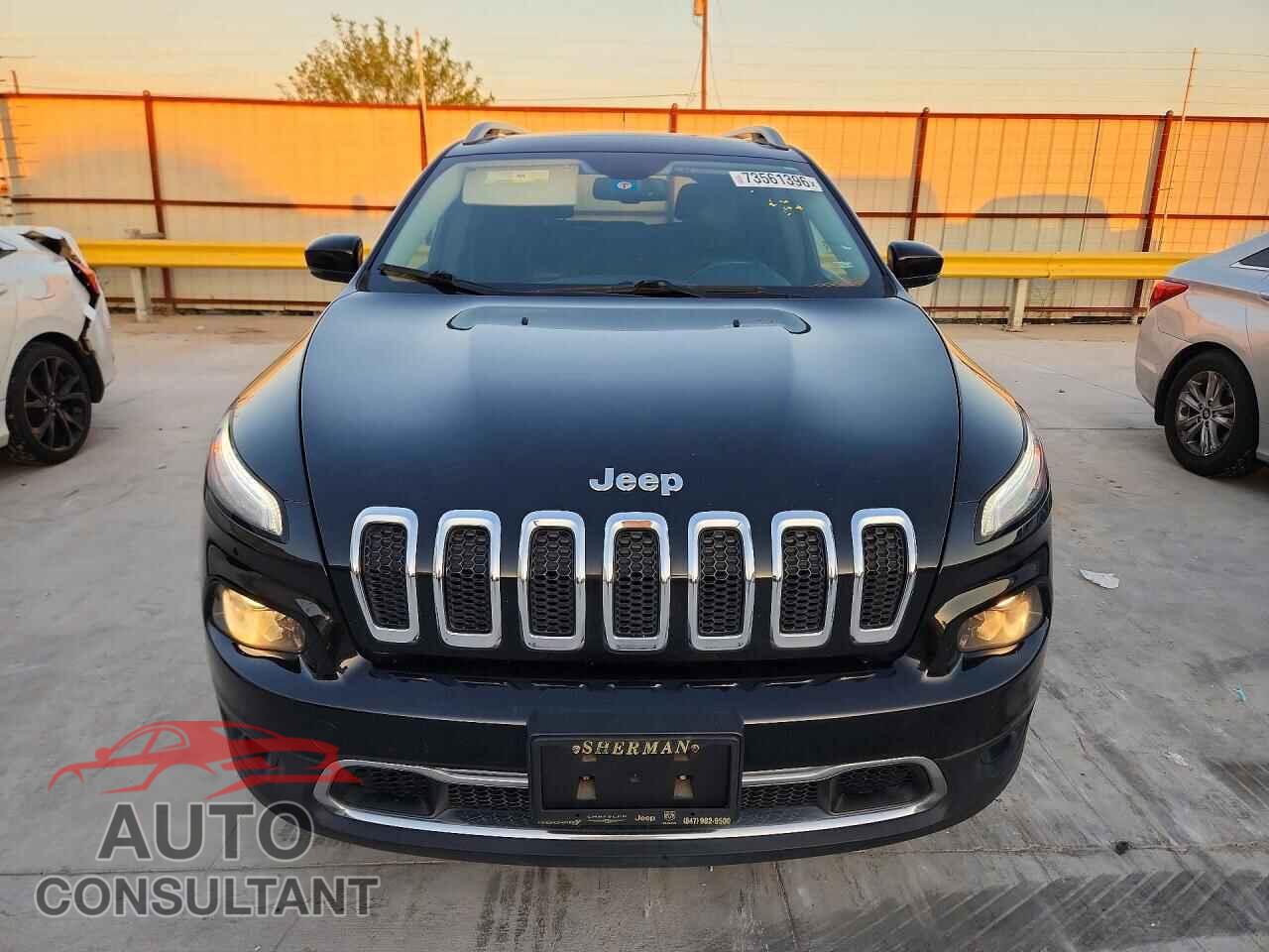 JEEP CHEROKEE 2014 - 1C4PJLDB3EW313332